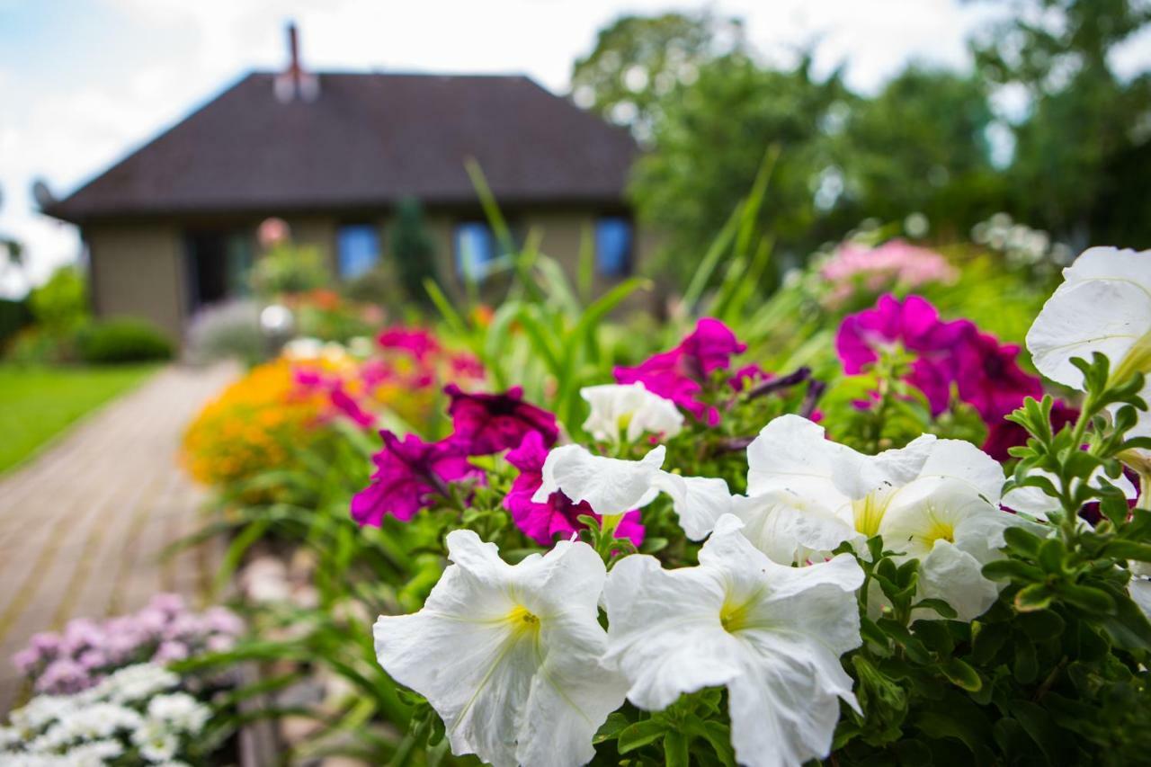 Guests house Like Home Sigulda Buitenkant foto